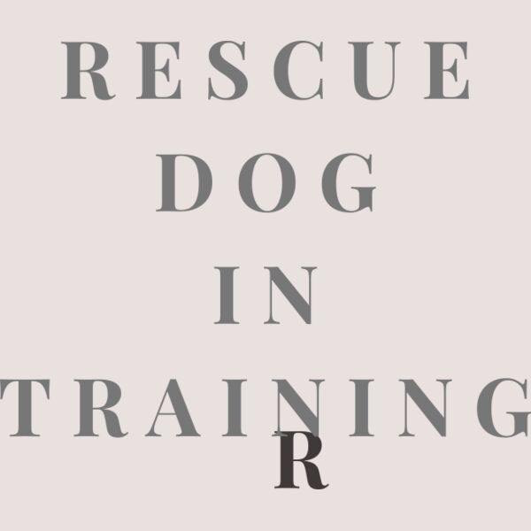 Rescue Dog In Training  Thumbnail