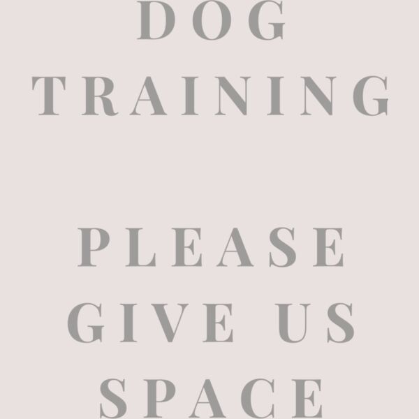 Rescue Dog In Training 3 Thumbnail