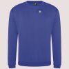 Pro sweatshirt Thumbnail