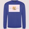 Pro sweatshirt Thumbnail